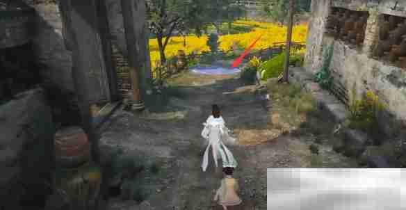 《逆水寒手游》缉鸡记奇遇攻略