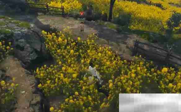 《逆水寒手游》缉鸡记奇遇攻略