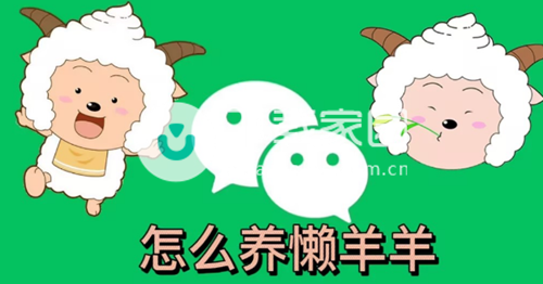 微信状态养懒羊羊设置方法