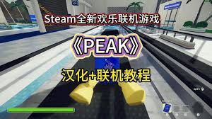 PEAK怎么多人联机