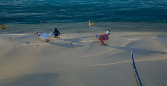 盗贼之海动物分布地点