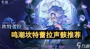 鸣潮坎特蕾拉声骸套装如何选择