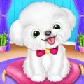 宠物狗狗养成日记游戏安卓版