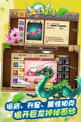 龙之牧场老版截图3