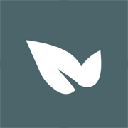 青藤之恋app官方版