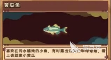 砰砰军团钓鱼图鉴分享 砰砰军团鱼类介绍