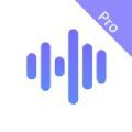 变声器Prov1.0.0